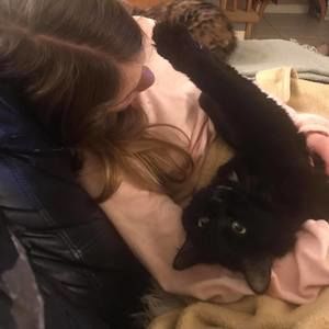 Meet your Posher, Annie